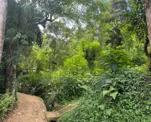 බදුල්ල අවට ඉඩමක්