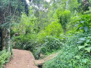 බදුල්ල අවට ඉඩමක්