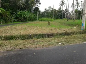 තුම්මෝදර ව්‍යාපාරික සහ නේවාසික බිම් කොටස් විකිණීමට