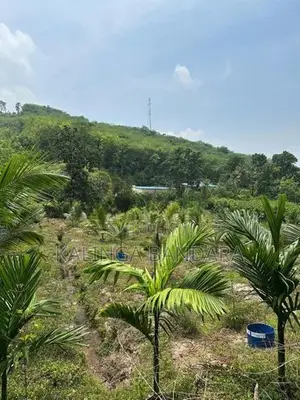 Agricultural Land For Sale Kosgama (Colombo District)