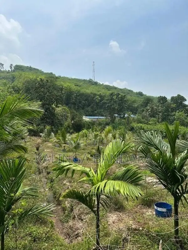 Agricultural Land For Sale Kosgama (Colombo District)