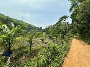 Agricultural Land For Sale Kosgama (Colombo District)