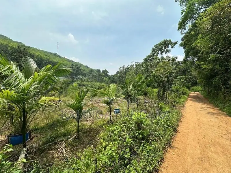 Agricultural Land For Sale Kosgama (Colombo District)