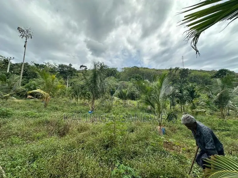 Agricultural Land For Sale Kosgama (Colombo District)