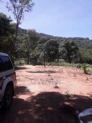 Land For Sale - Dambulla