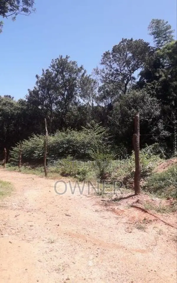 Land For Sale - Dambulla