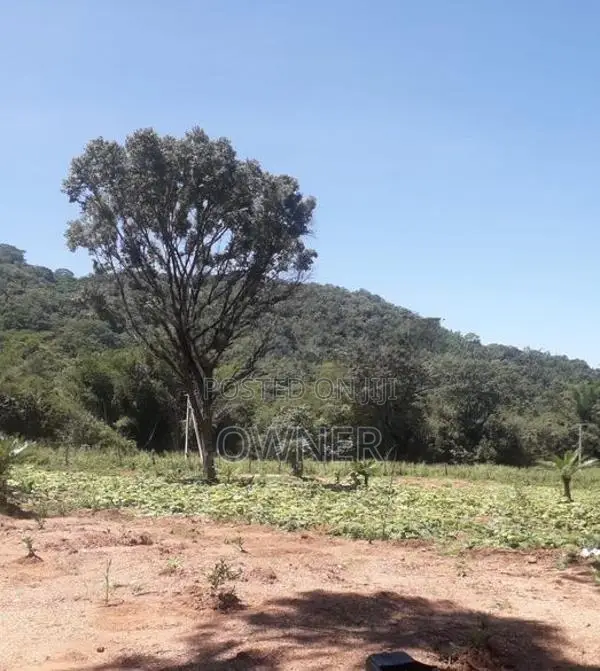 Land For Sale - Dambulla