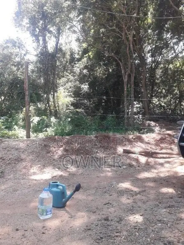 Land For Sale - Dambulla