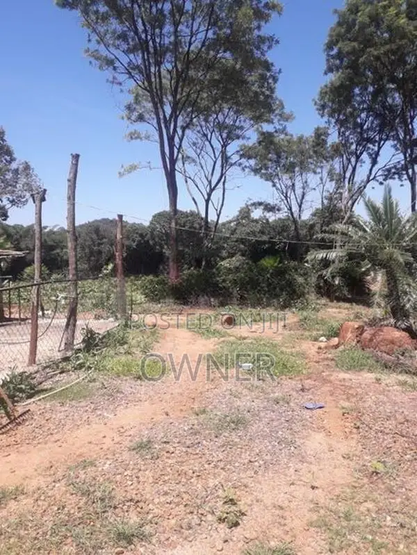 Land For Sale - Dambulla