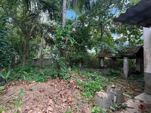 Gampaha Land for Sale – Sirimal Uyana