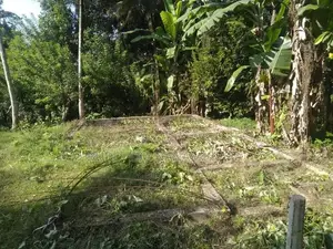 Bare Land for Sale in Menikhinna - Kandy