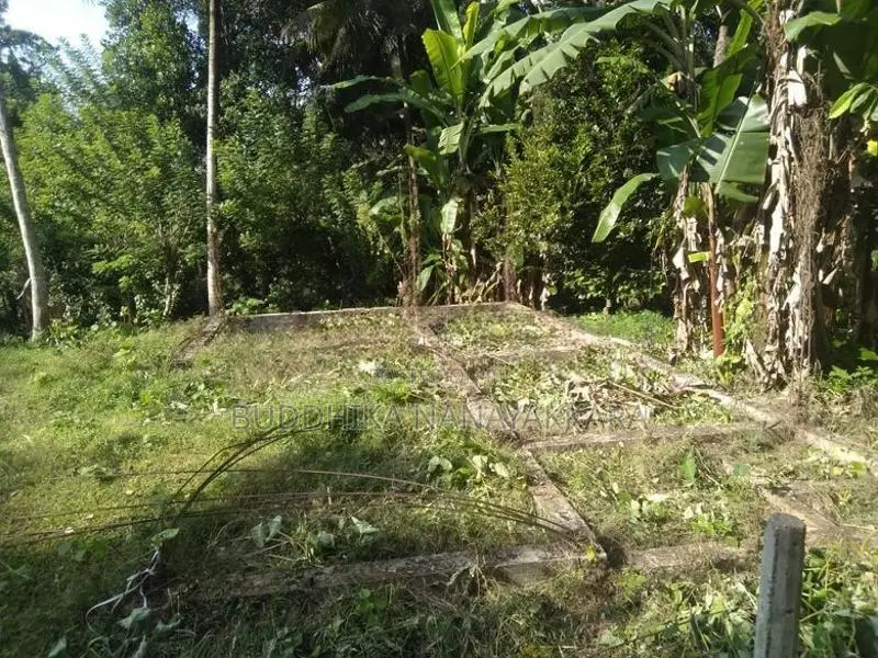 Bare Land for Sale in Menikhinna - Kandy