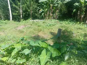 Bare Land for Sale in Menikhinna - Kandy