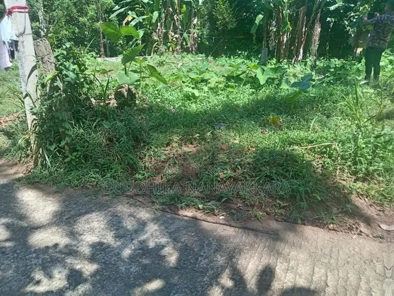 Bare Land for Sale in Menikhinna - Kandy