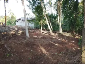 Panadura 72 P Prime Land - 2.10 PP