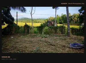 Land For Sale In Narammala