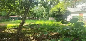 Prime Land for Sale in Alubomulla-Panadura