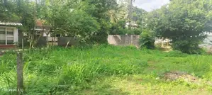 Prime Land for Sale in Alubomulla-Panadura