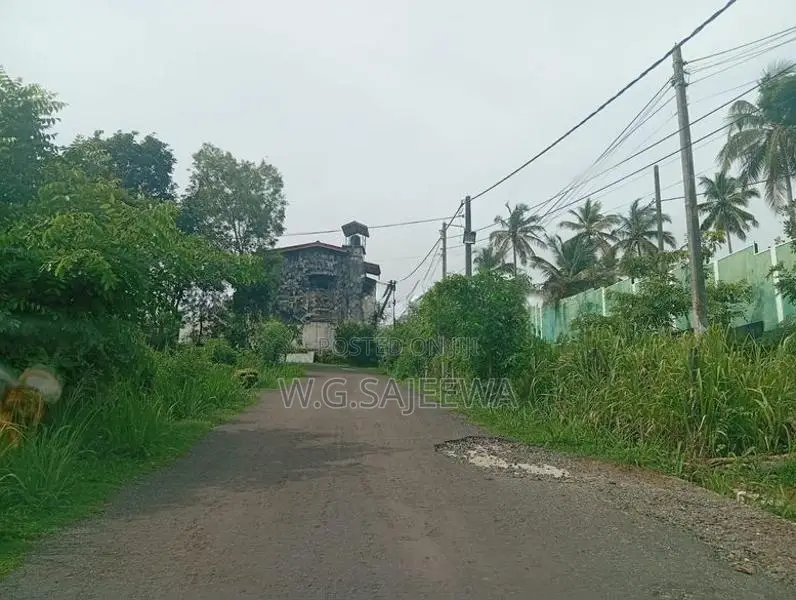 19 Perch Land for Sale Raddolugama
