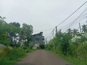 19 Perch Land for Sale Raddolugama