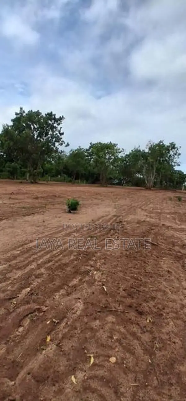 රැකව බීච් එකට නුදුරින් අගනා ඉඩමක්
