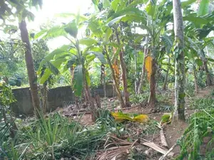 නුවර පාර පේන දුරින් කෑගල්ලෙන් අගනා ඉඩමක්