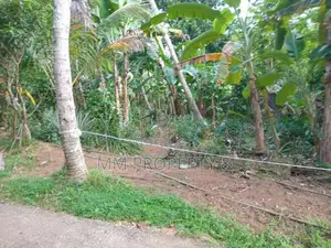 නුවර පාර පේන දුරින් කෑගල්ලෙන් අගනා ඉඩමක්