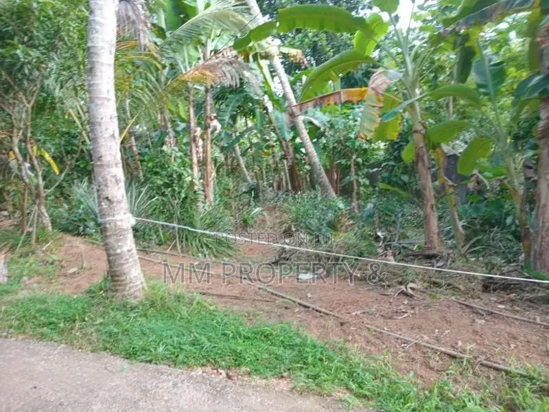 නුවර පාර පේන දුරින් කෑගල්ලෙන් අගනා ඉඩමක්