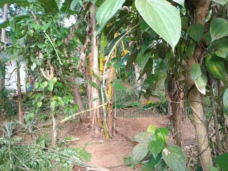 නුවර පාර පේන දුරින් කෑගල්ලෙන් අගනා ඉඩමක්