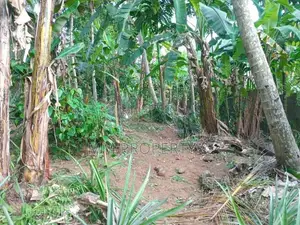 නුවර පාර පේන දුරින් කෑගල්ලෙන් අගනා ඉඩමක්