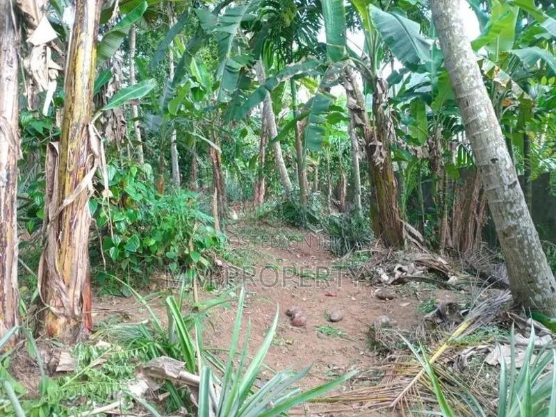 නුවර පාර පේන දුරින් කෑගල්ලෙන් අගනා ඉඩමක්