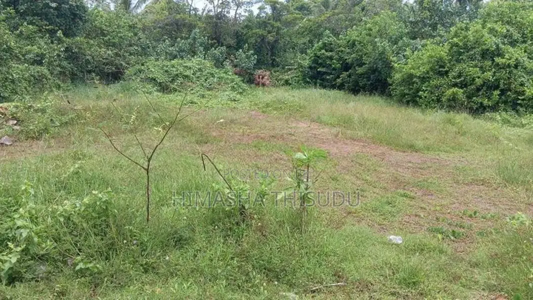 Thalaramba Land for Sale