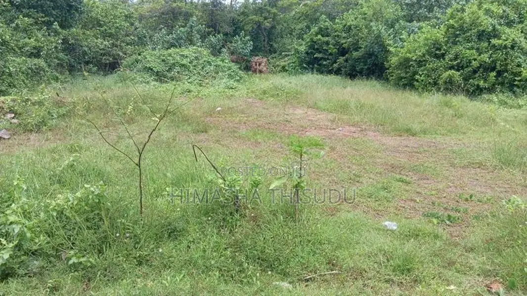 Thalaramba Land for Sale