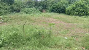 Thalaramba Land for Sale