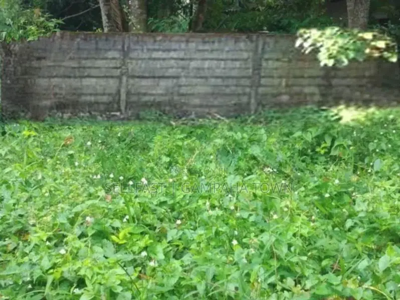 Land For Sale Weboda Kadawatha
