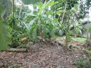 10.Perch Land for Sale Athulkotte
