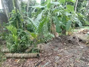 10.Perch Land for Sale Athulkotte
