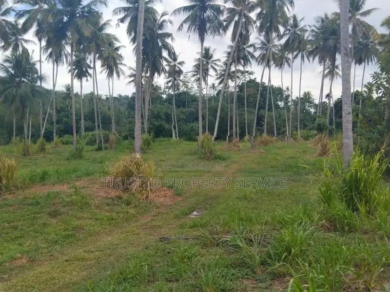 Kurunagala Narammala Land Sale