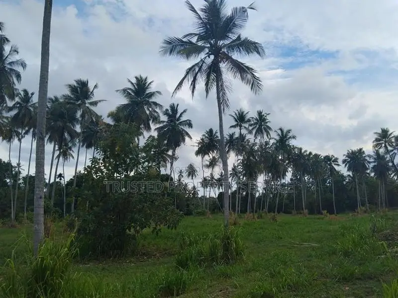 Kurunagala Narammala Land Sale