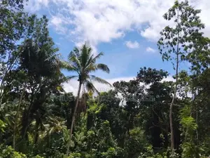 Polgahawela Land Sale