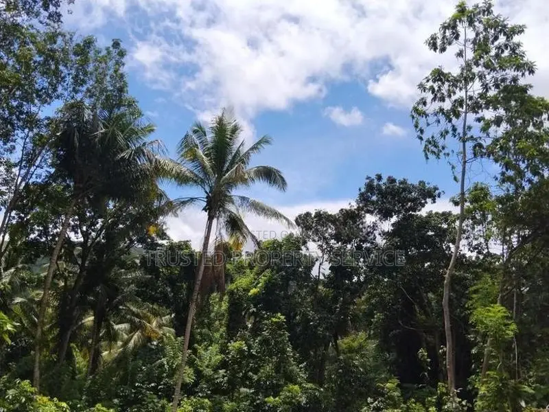 Polgahawela Land Sale