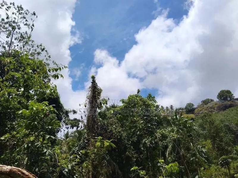 Polgahawela Land Sale