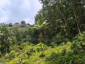 Polgahawela Land Sale