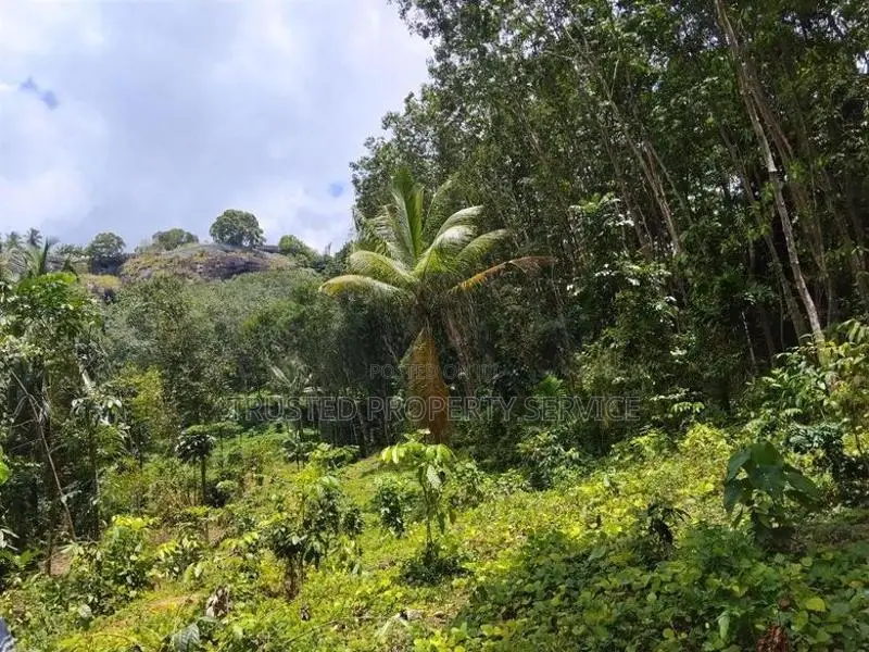 Polgahawela Land Sale