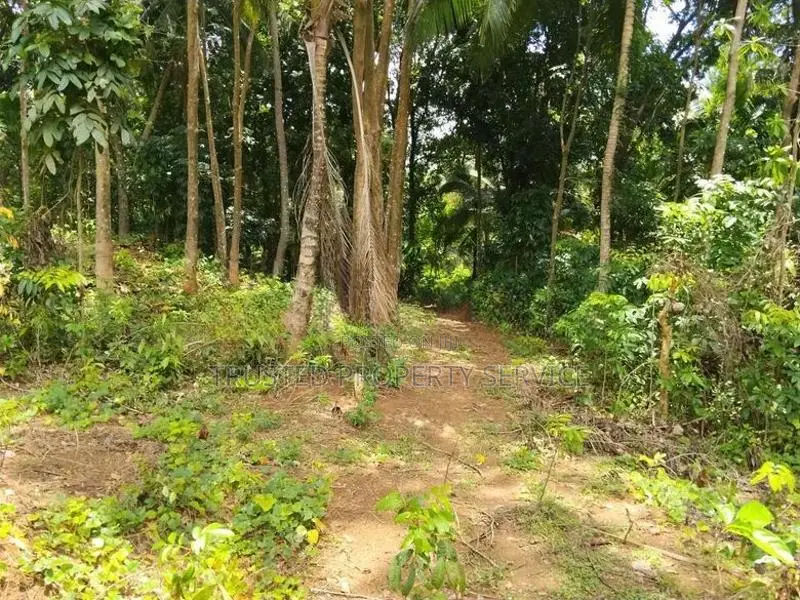 Polgahawela Land Sale