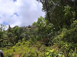 Polgahawela Land Sale