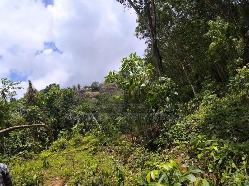 Polgahawela Land Sale