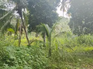 Kalugamuwa Land Sale in Narammala