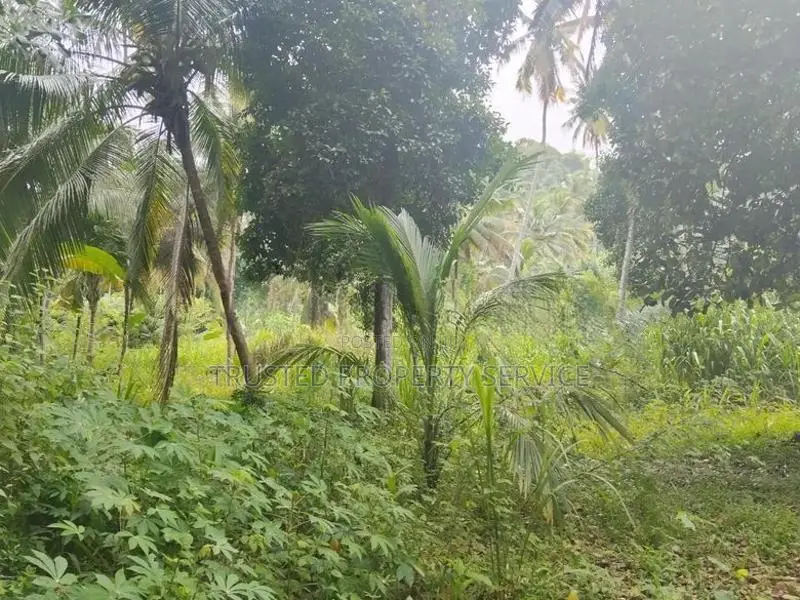 Kalugamuwa Land Sale in Narammala