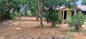 Udawalawe House Sale